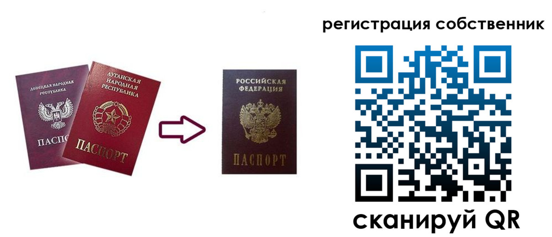прописка для школы в Сочи